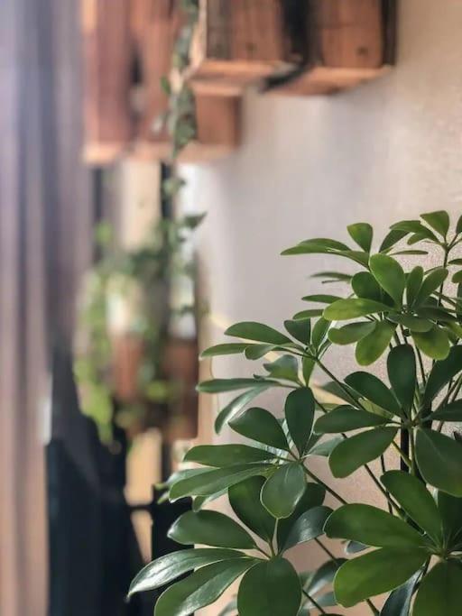 Free Garage Parking!!! Stylish Getaway In Prime Bratislava Location - By The Danube And Old Town Apartman Kültér fotó